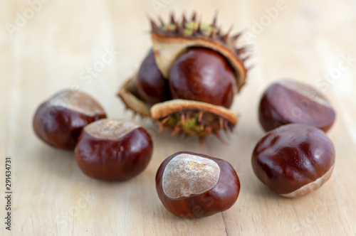 Group of fresh autumnal chestnuts on wooden table, spiny nuts isolated od brown background