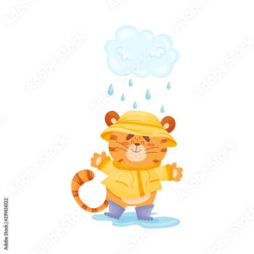 Cartoon tiger cub walks in the rain. Vector illustration.