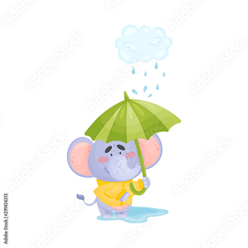 Cute little elephant stands in a puddle in the rain. Vector illustration.
