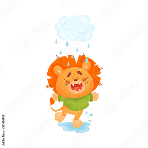 Little lion walk in the rain. Vector illustration.