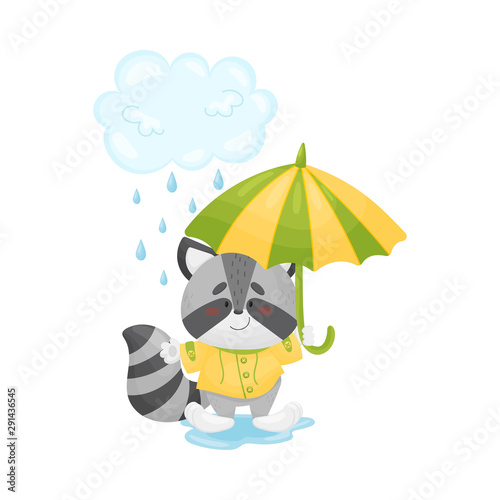 Humanized raccoon stands in the rain. Vector illustration.