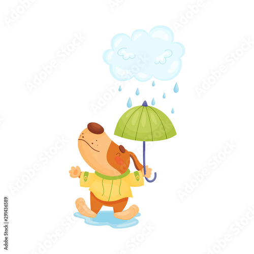 Puppy with an umbrella walks in the rain. Vector illustration.