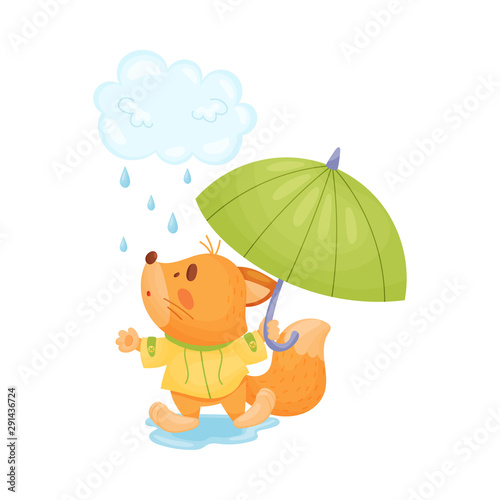 Little fox with an umbrella walks in the rain. Vector illustration.