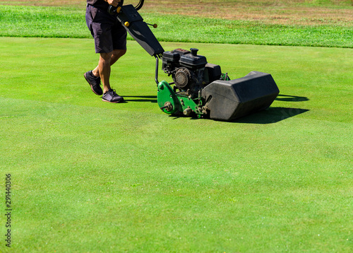 Cutting the grass of a putting green of a golf course