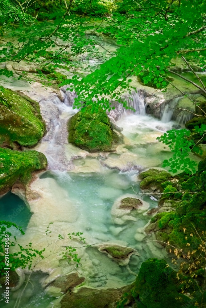 Clear water river in a forest Clear water river in a forest