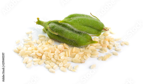 Foto Sesame green pods with seed isolated on white background