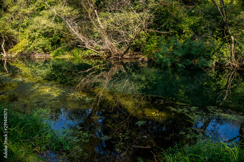  River Gold Panega  Bulgaria. Beautiful river at the end of summer.