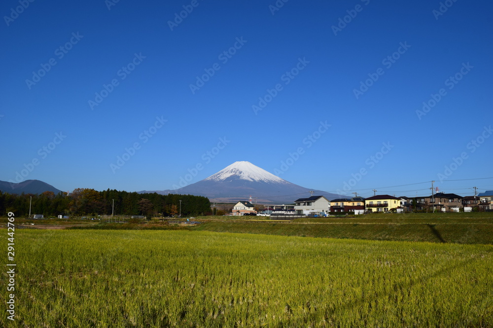 日常にある富士山
