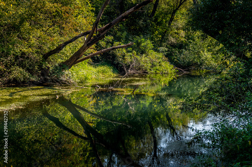  River Gold Panega  Bulgaria. Beautiful river at the end of summer.