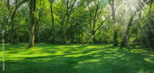 Beautiful green meadow surrounded by trees with sunbeam rays, landscape in Englischer Garten in Munich