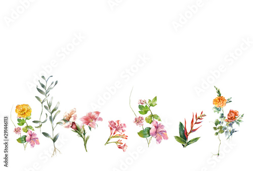 watercolor painting of leaves and flower, on white background © photoiget