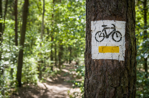 Biking track sign painted on a tree.