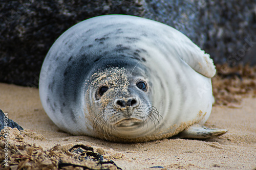 Round seal