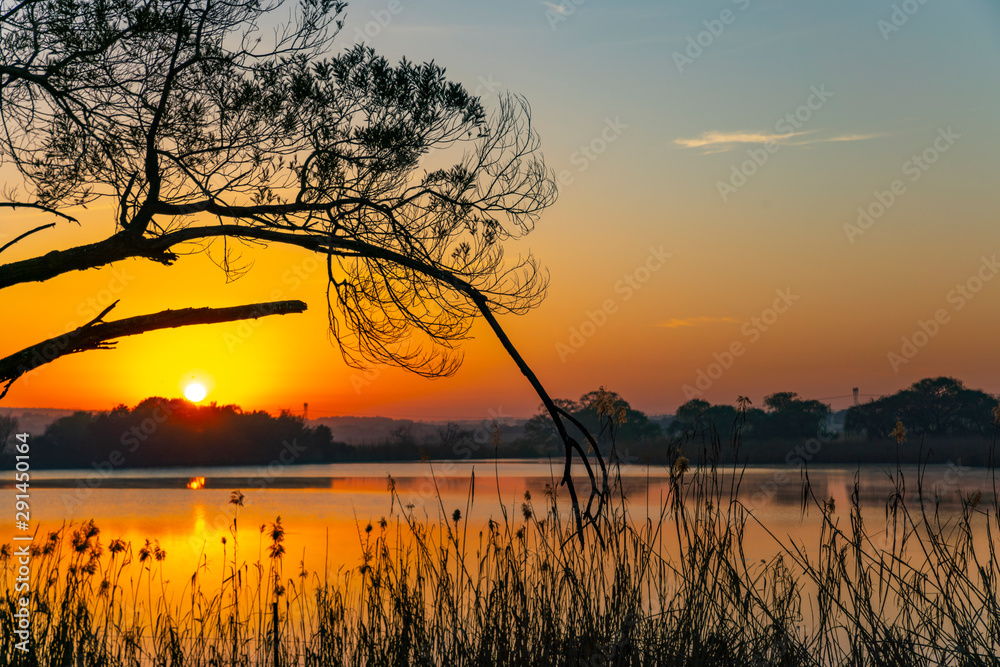 Sunrise over Rietvlei dam nature reserve outside Pretoria, South Africa.