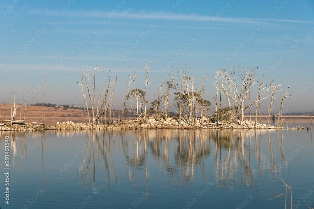 Late winter in the Rietvlei Nature reserve outside Pretoria, South Africa Late winter in the Rietvlei Nature reserve outside Pretoria, South Africa