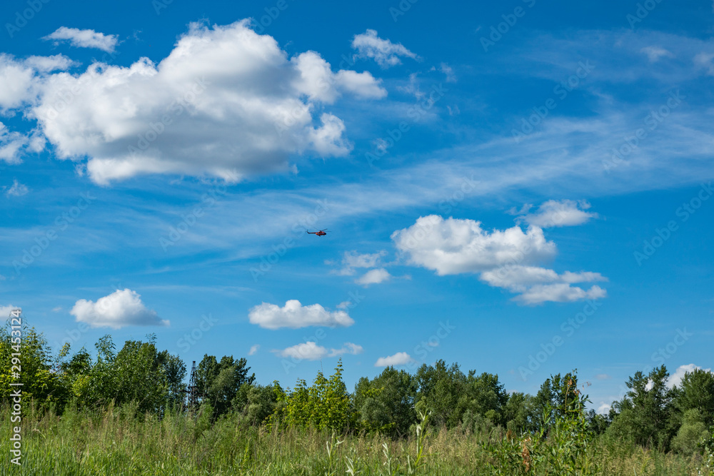 summer, warm, clear, serene, day, trip, journey, walk, rest, nature, flora, landscape, landscape, greenery, trees, thickets, grass, grasses, shade, off, sun, sand, path, blue, sky, white, clouds, spac