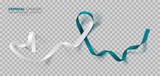 Cervical Cancer Awareness Month. Teal And White Ribbon Isolated On Transparent Background. Vector Design Template For Poster. Illustration.