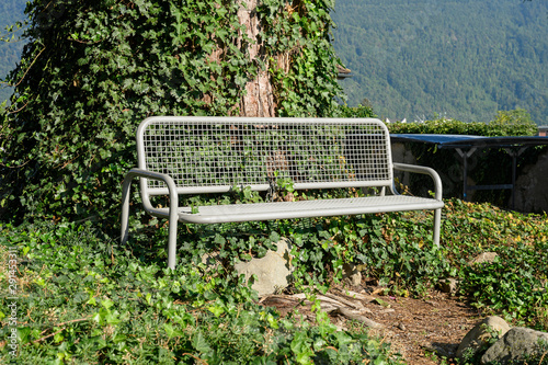 Sitzbank unter dem Wellingtonia-Baum beim Kollegium St. Fidelis, Stans, Nidwalden, Schweiz photo