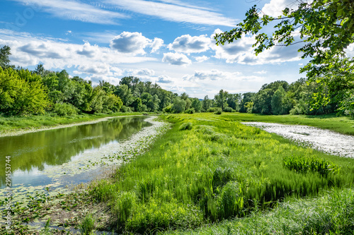 summer, warm, clear, serene, day, trip, journey, walk, vacation, nature, flora, landscape, landscape, mountains, greenery, forest, trees, thickets, grass, grasses, shade, from, sun, river, water, ripp