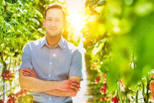 Confident supervisor standing with arms crossed against tomatoes growing in greenhouse with yellow lens flare in background