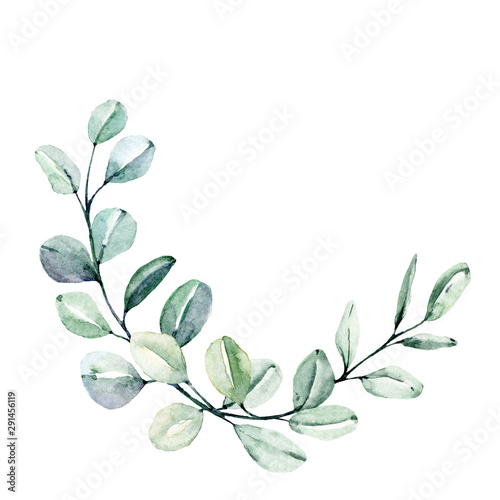 Wreath with eucalyptus, watercolor leaves. Hand painting botanical floral  frame. Leaf illustration isolated on white background. Stock Illustration |  Adobe Stock