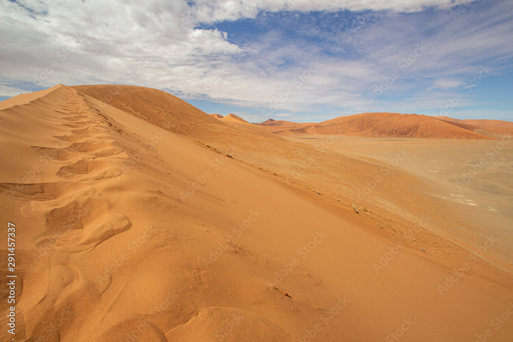 sand dunes in the desert of Namibia Sossusvlei