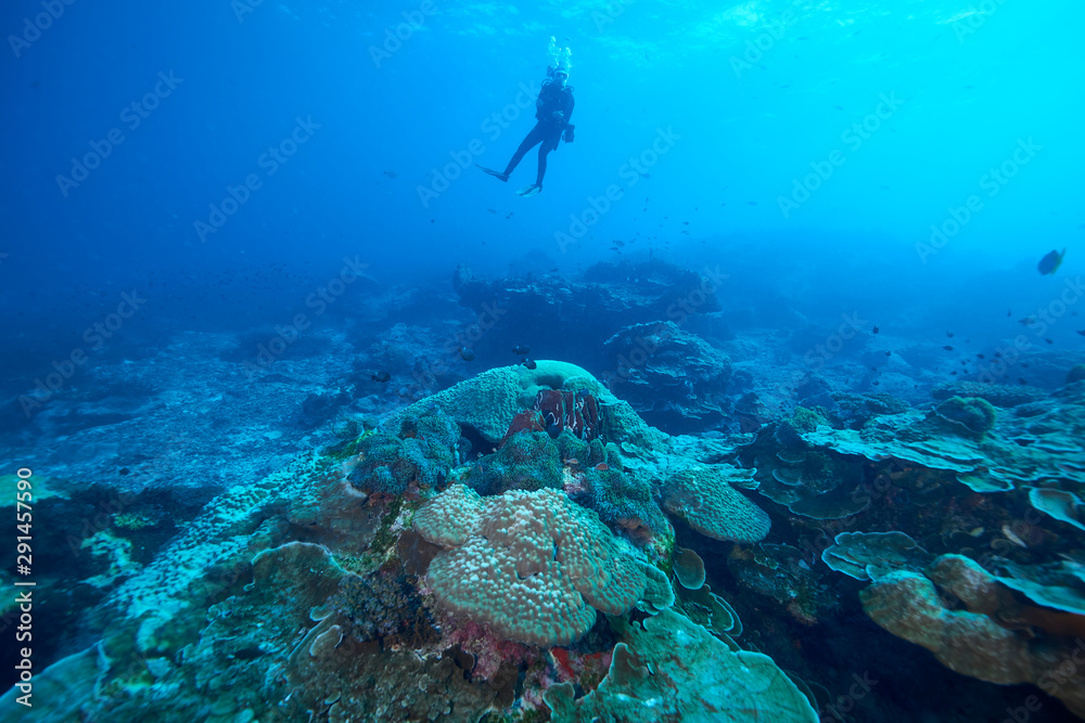 Naklejka premium Losin south of Thailand 2018