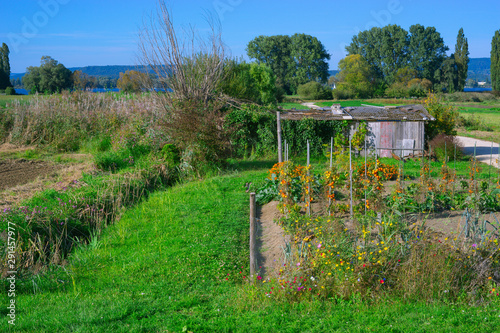 They still exist: in a world full of increasing human order and cold rational architecture, a simple garden with wild flowers and wooden sheds seems almost paradisiac. Lake Constance region.