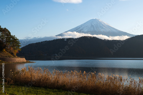 Golden hours at lake kawaguchi with background of mt. Fuji covered by cloud and golden grass and tree in foreground. © 9mot