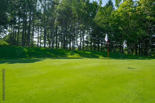 View of Golf Course with beautiful putting green. Golf course with a rich green turf beautiful scenery. 