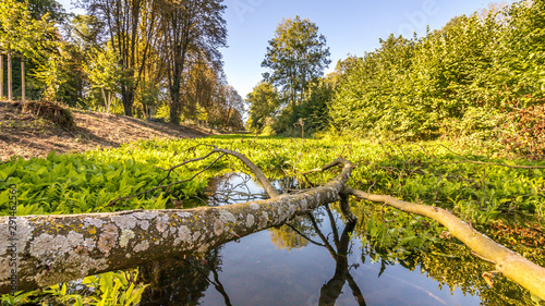 Die Uferzone am Nordkanal war vom satten Grün überzogen photo