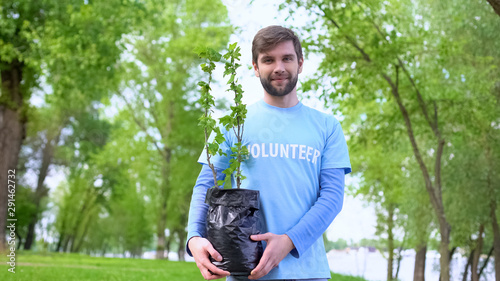 Картината върху платно Smiling male volunteer holding green tree seedling standing in forest, eco event
