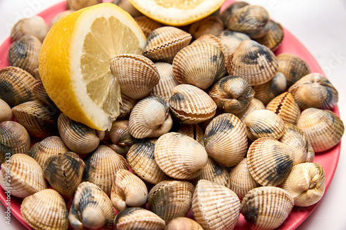 view of fresh cockles on a plate