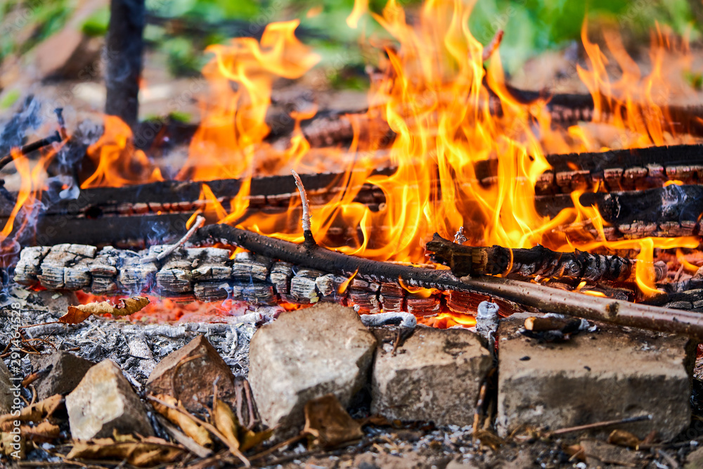 bonfire burns in a meadow, rural landscape