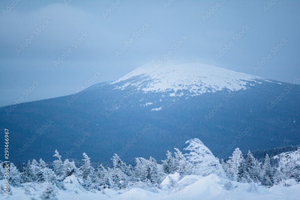 Beautiful snowy winter forest in the mountains