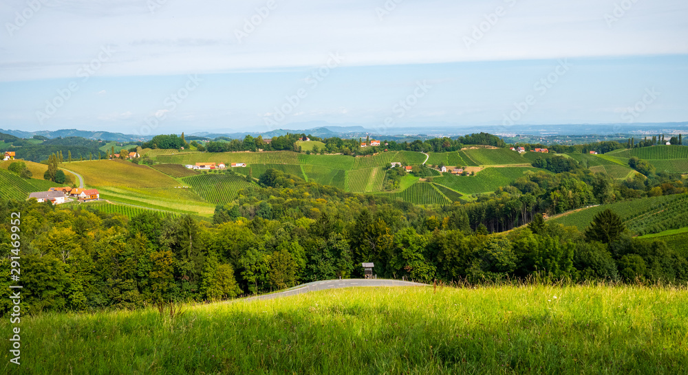Weinberge in der Südsteiermark, Österreich, im Spätsommer