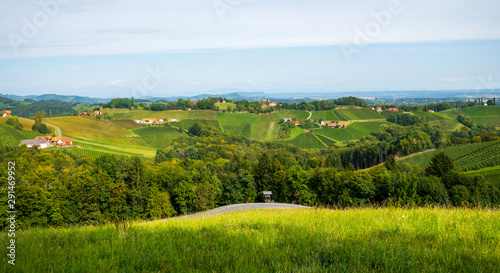 Weinberge in der Südsteiermark, Österreich, im Spätsommer