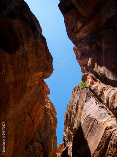 Orange walls of a canyon in the historic sight of Petra, Jordan, in the mountains of the desert under blue sky