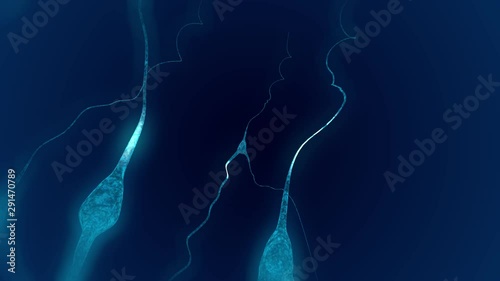 Fly through a neuron cell network inside the brain with electric impulses passes by it. Loop video.