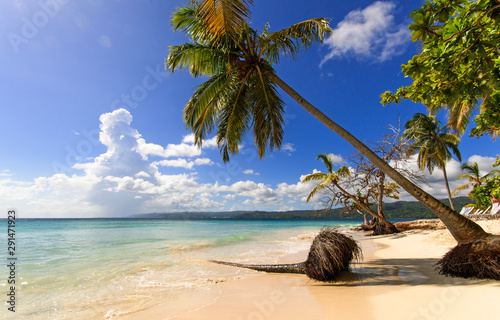 Fototapeta Naklejka Na Ścianę i Meble -  Wonderful holidays on beautiful and lonely lagoon on the paradise beach Playa Rincon on Samana, Dominican Republic  in the Caribbean with  palms trees, and dream beach and beautiful clear water. 