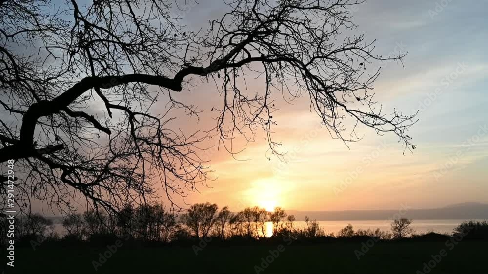 panoramica di lago al tramonto con sagome di alberi panoramica di lago al tramonto con sagome di alberi