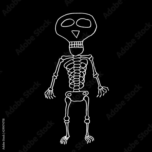 Funny cartoon hand drawn skeleton illustration. Doodle vector skeleton illustration. Isolated skeleton illustration for various projects.
