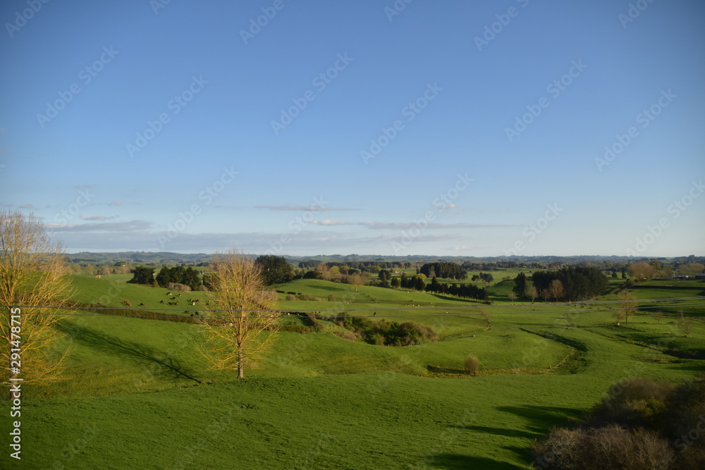 The Landscape in North Island, New Zealand The Landscape in North Island, New Zealand