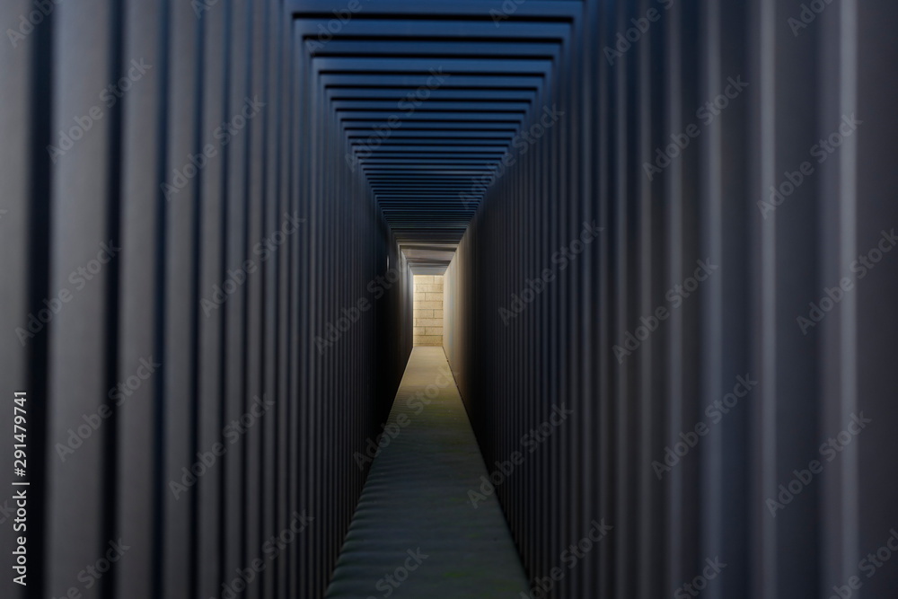 Fototapeta premium ファイン