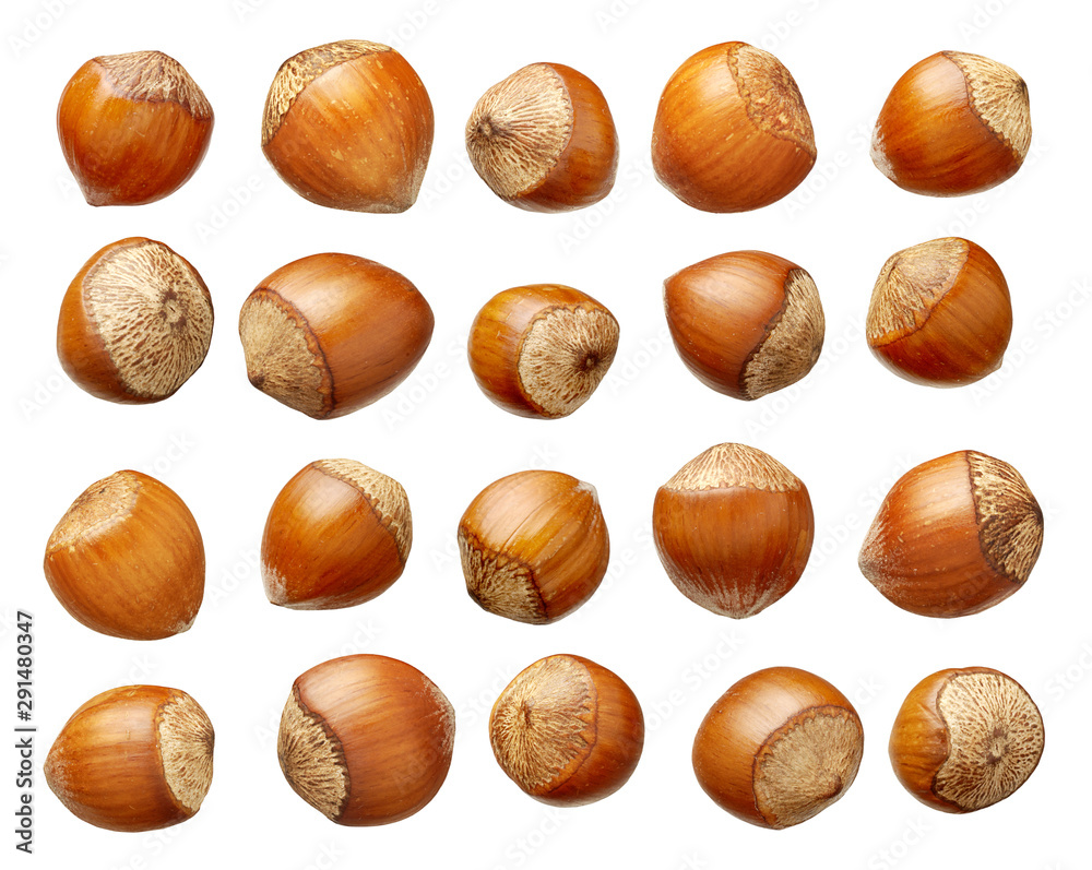 Set of hazelnuts isolated on white background