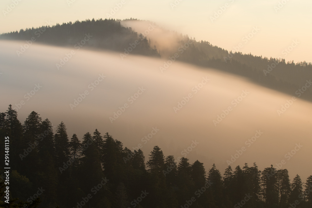 A cloud bank rolling over a mountain ridge at dawn in the Great Smokey Mountains National Park.