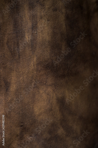 Fond vertical cuir marron
