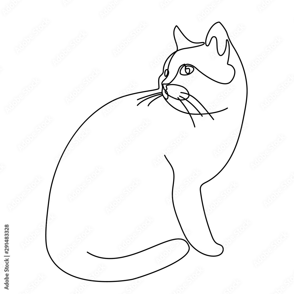 25 Cat Drawing Ideas Step By Step | Cat drawing, Simple cat drawing,  Drawings