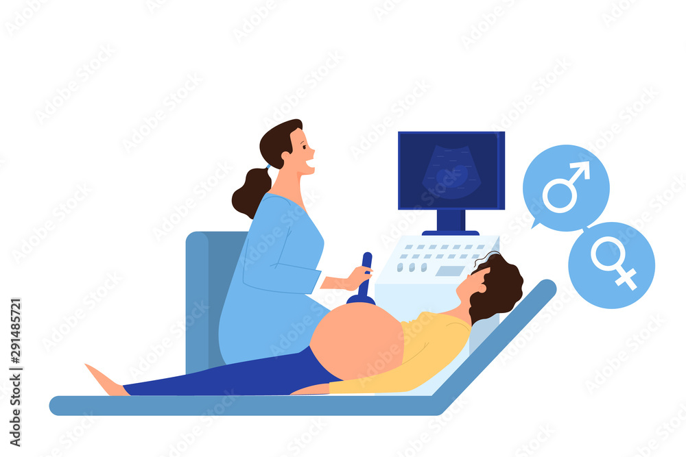 Pregnant woman on the ultrasound procedure. Gynecologist Pregnant woman on the ultrasound procedure. Gynecologist