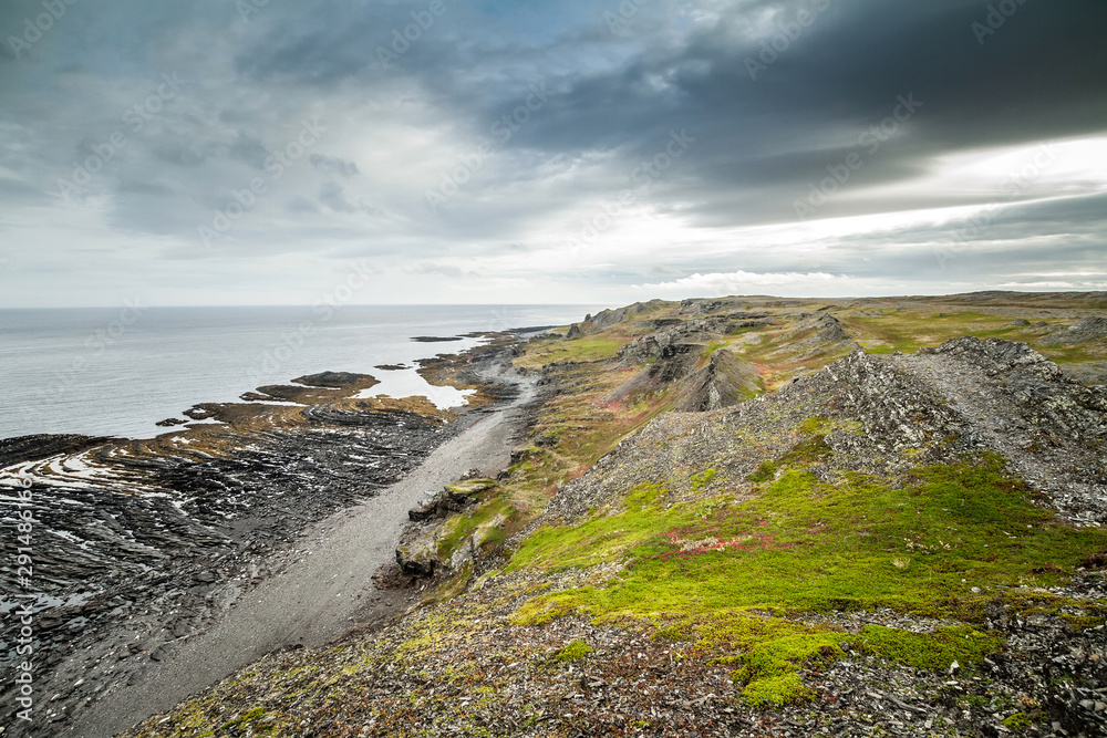 Coast of the Arctic Ocean. Cape Kekurskiy, Russia Coast of the Arctic Ocean. Cape Kekurskiy, Russia
